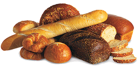 Haydens